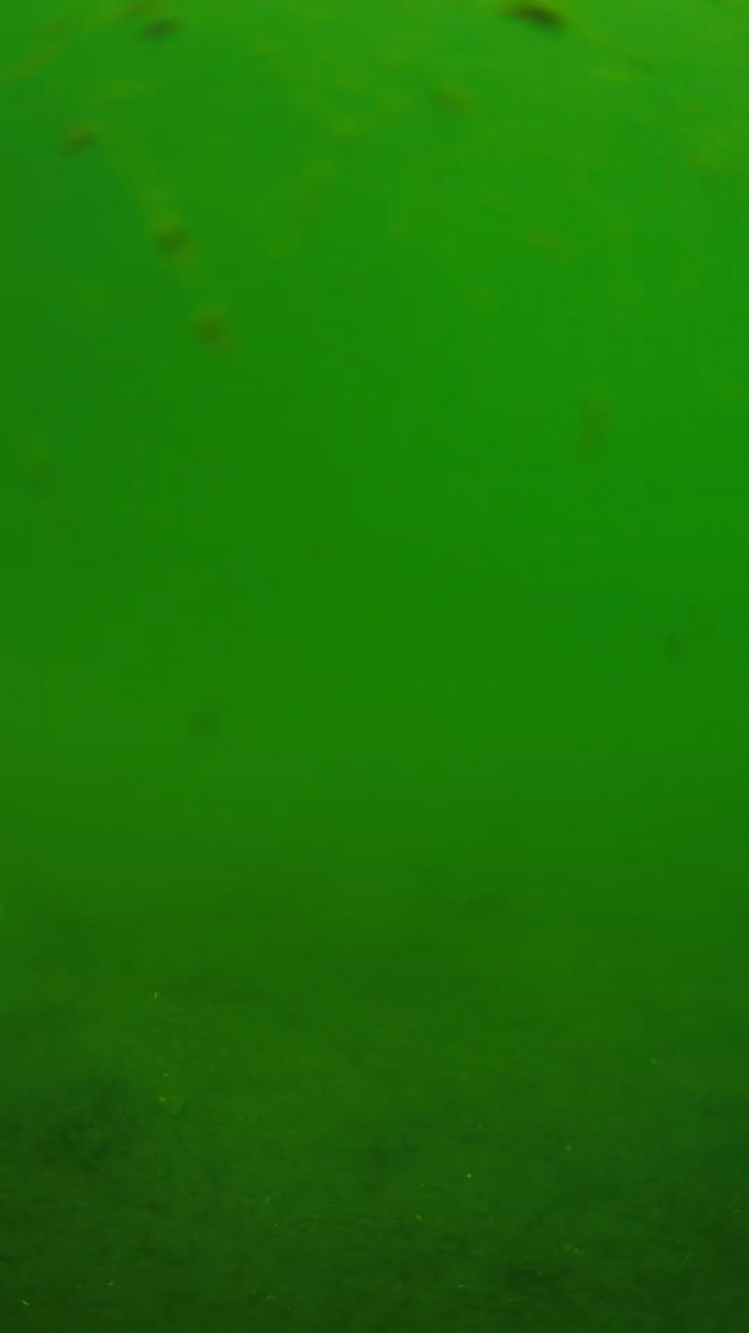 lander_ipcam_20240621103547.png