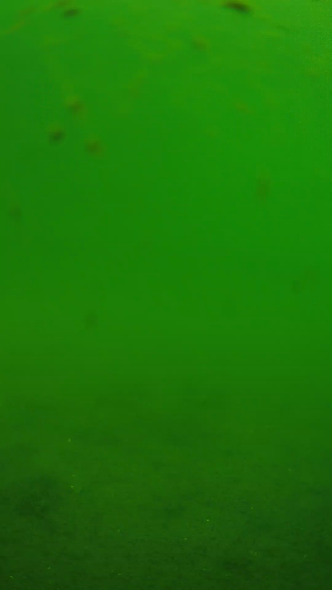 lander_ipcam_20240621103548.png