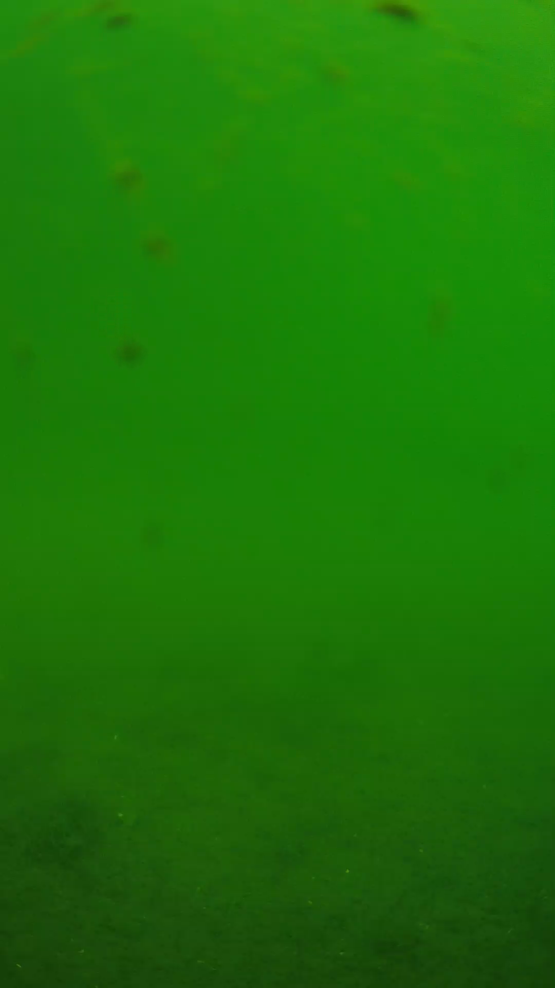 lander_ipcam_20240621103550.png