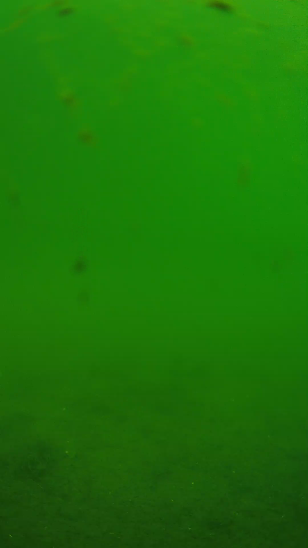 lander_ipcam_20240621103551.png