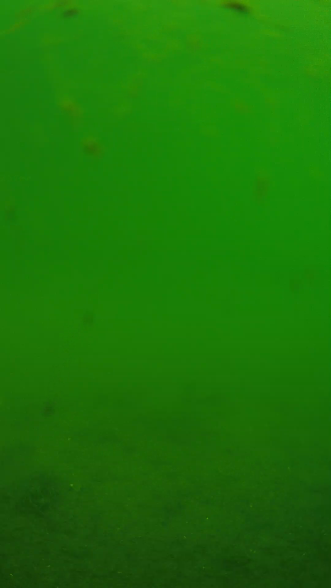 lander_ipcam_20240621103552.png
