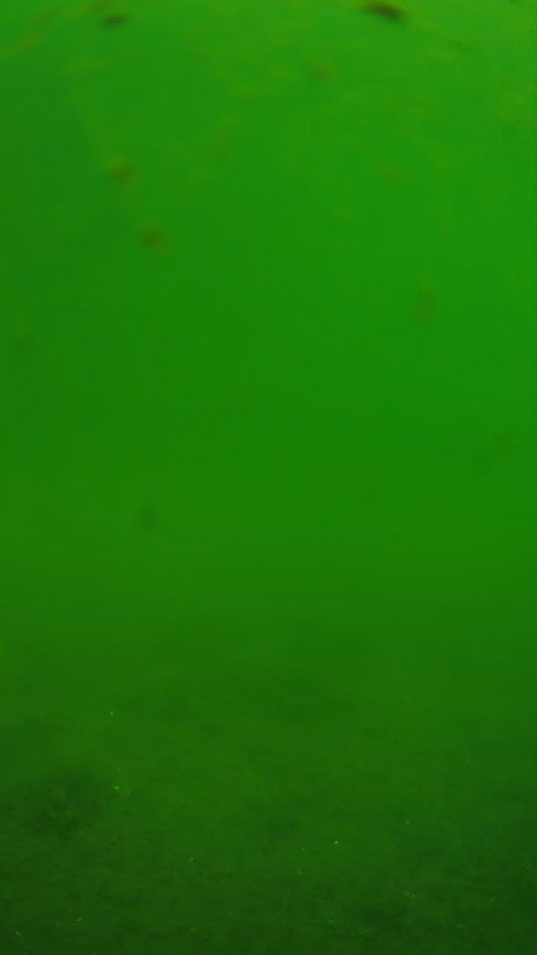 lander_ipcam_20240621103553.png