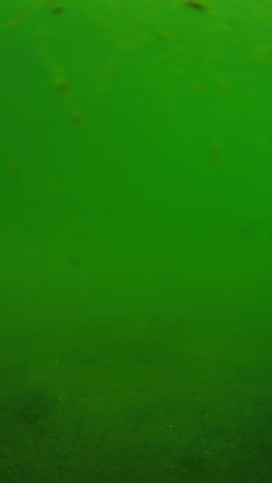 lander_ipcam_20240621103554.png