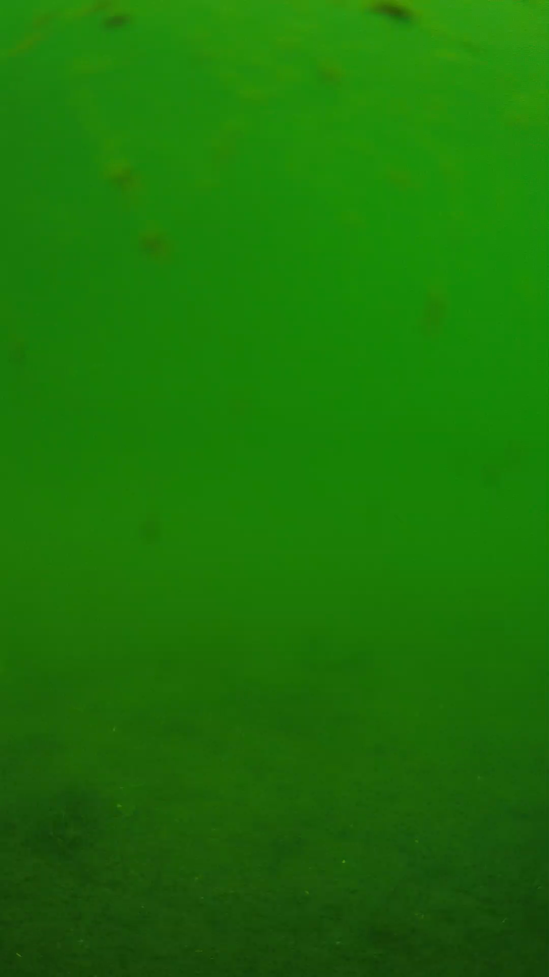 lander_ipcam_20240621103555.png