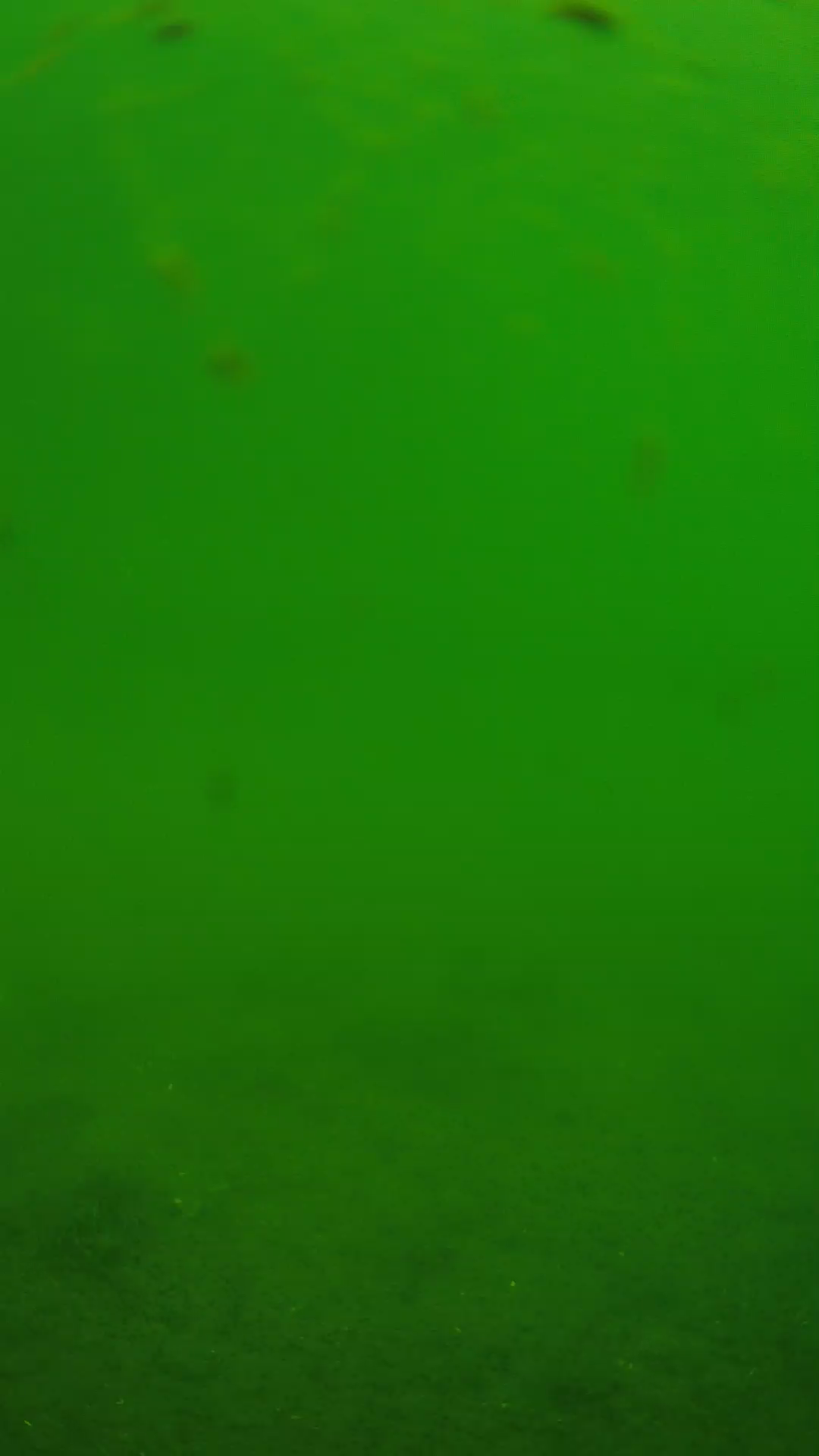 lander_ipcam_20240621103556.png