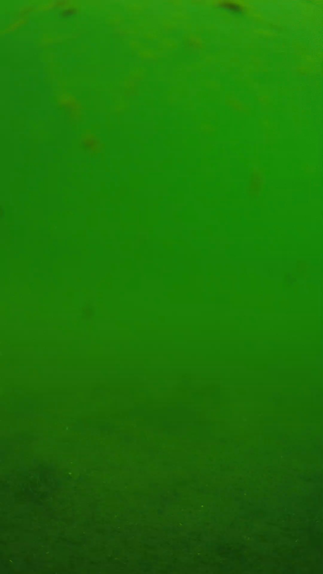 lander_ipcam_20240621103557.png