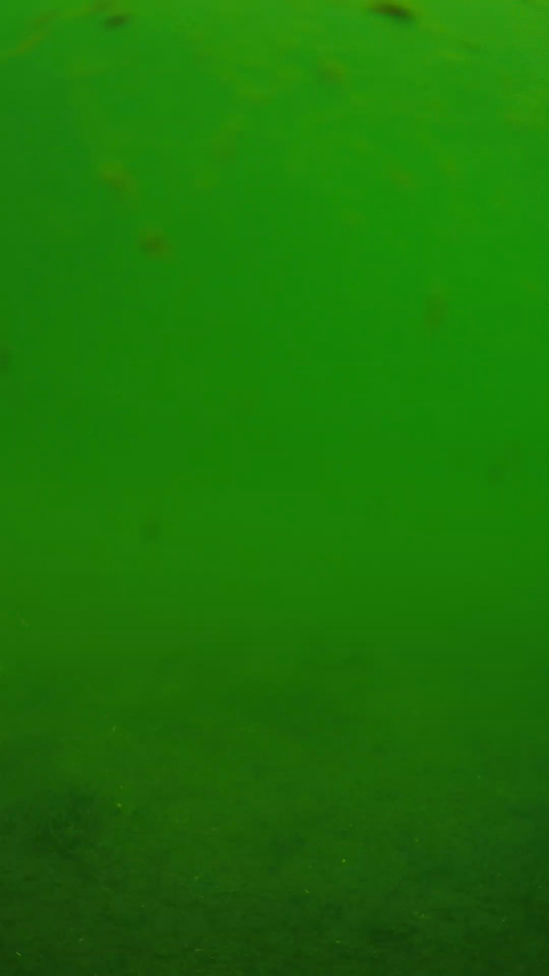 lander_ipcam_20240621103558.png