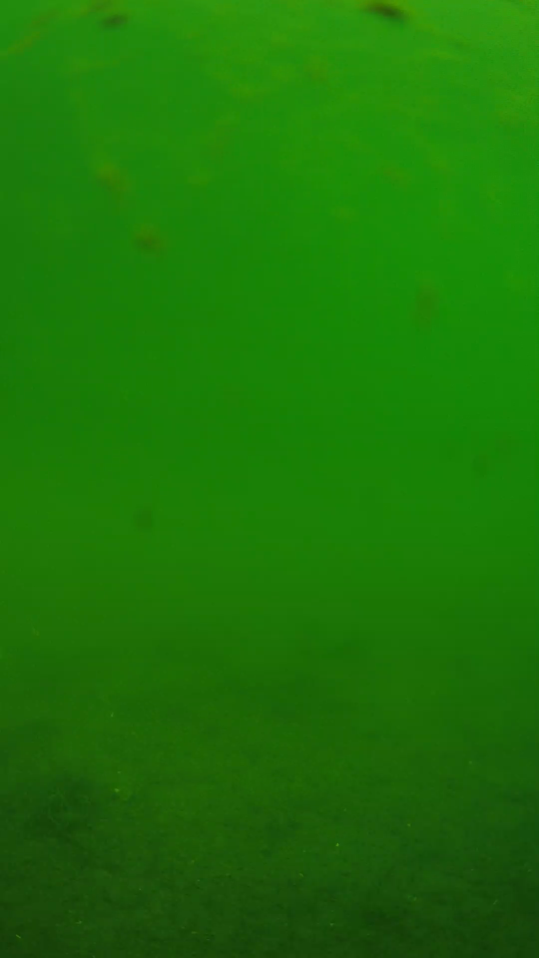 lander_ipcam_20240621103559.png