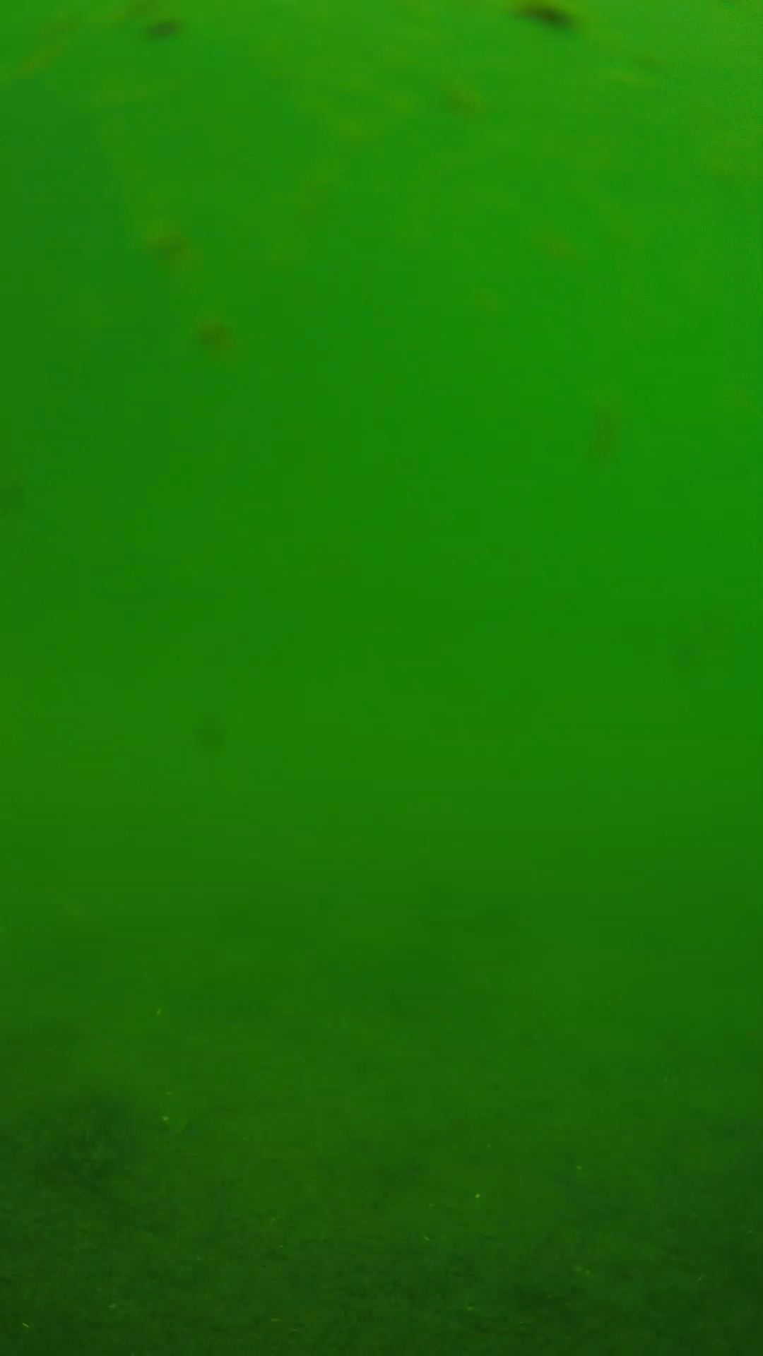 lander_ipcam_20240621103600.png