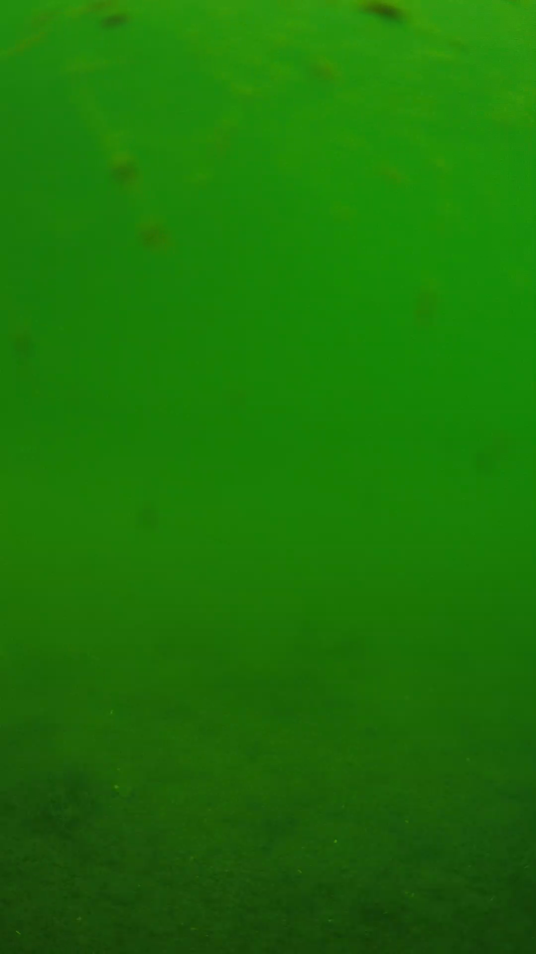 lander_ipcam_20240621103601.png