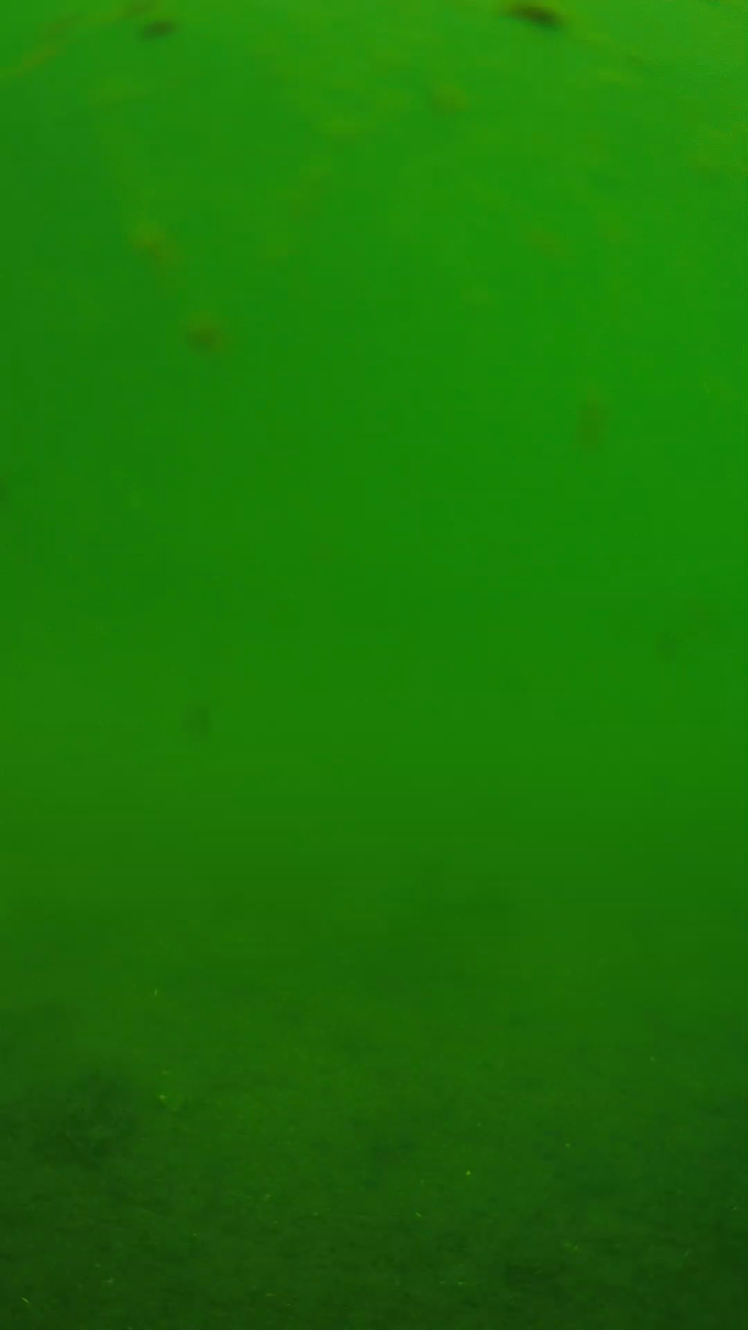 lander_ipcam_20240621103602.png