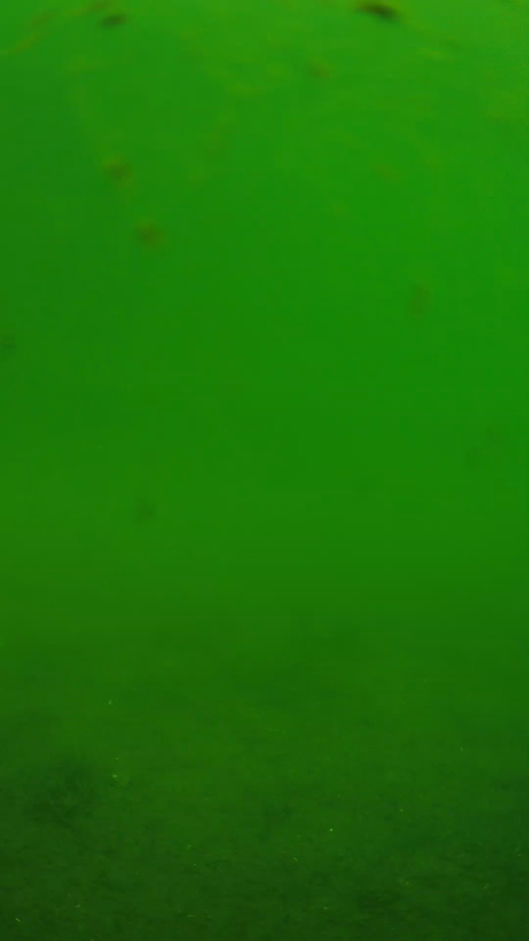lander_ipcam_20240621103603.png