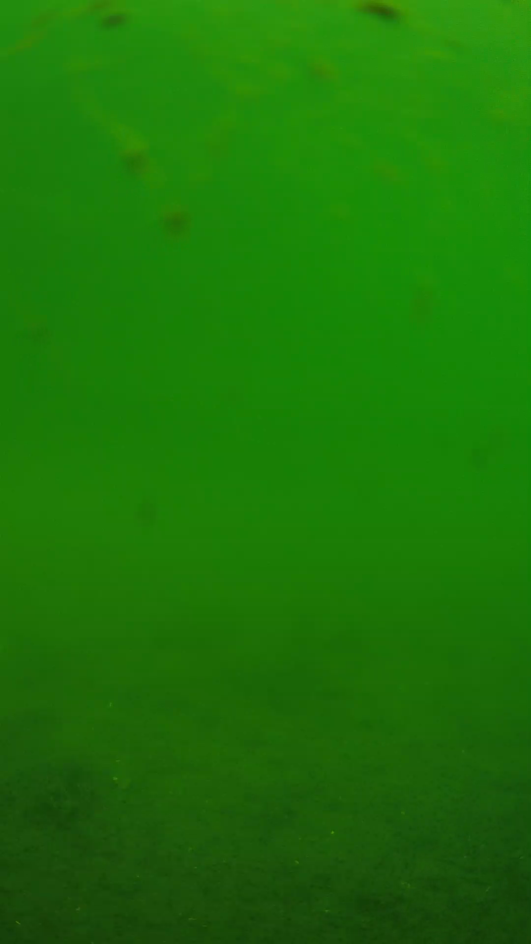 lander_ipcam_20240621103604.png