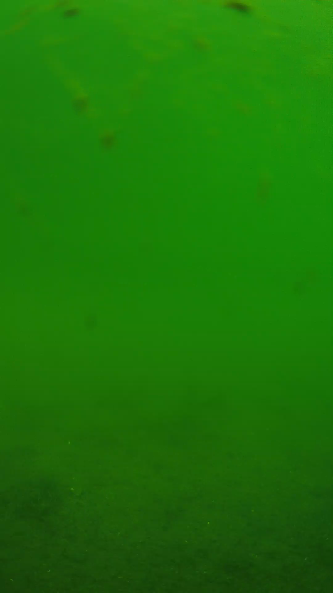 lander_ipcam_20240621103605.png
