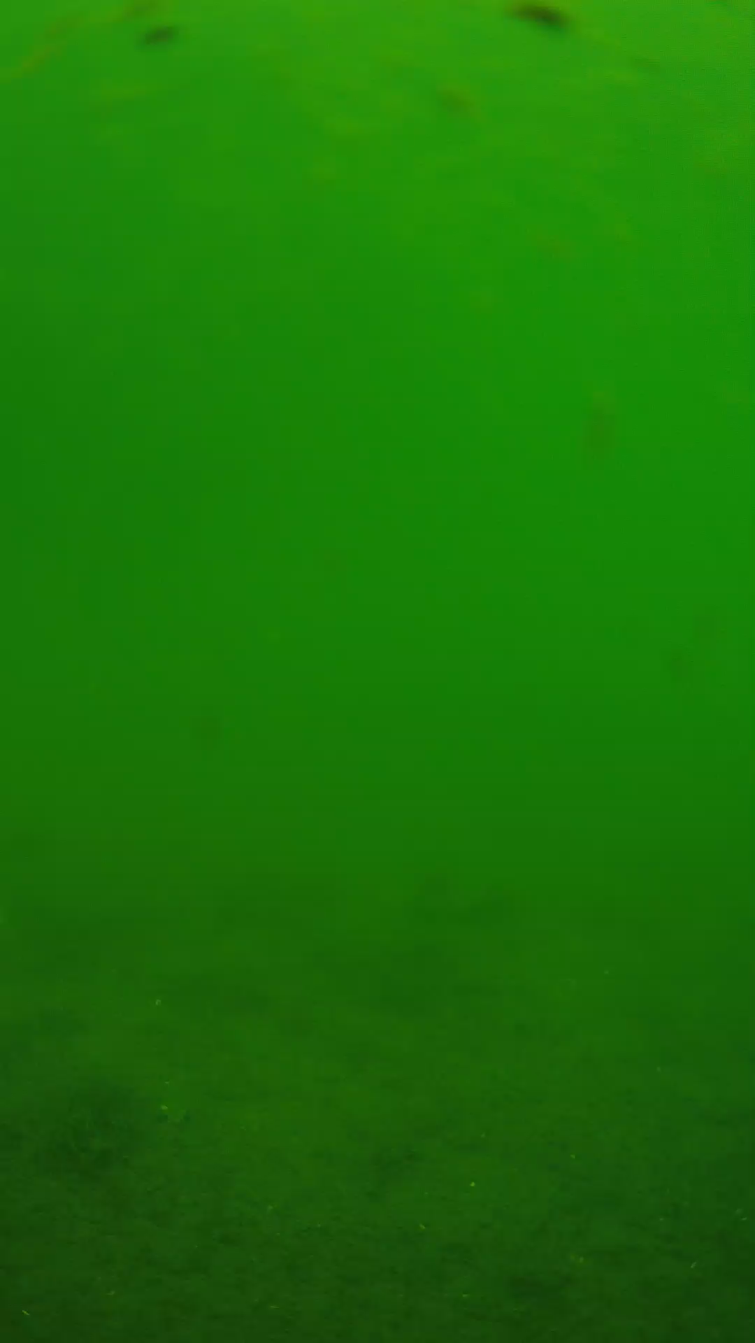 lander_ipcam_20240621110538.png