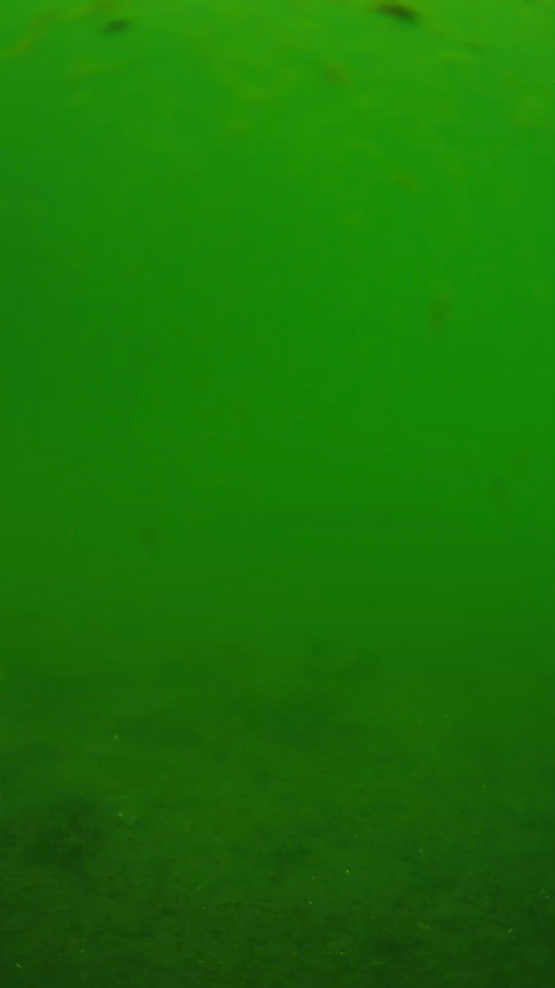 lander_ipcam_20240621110539.png