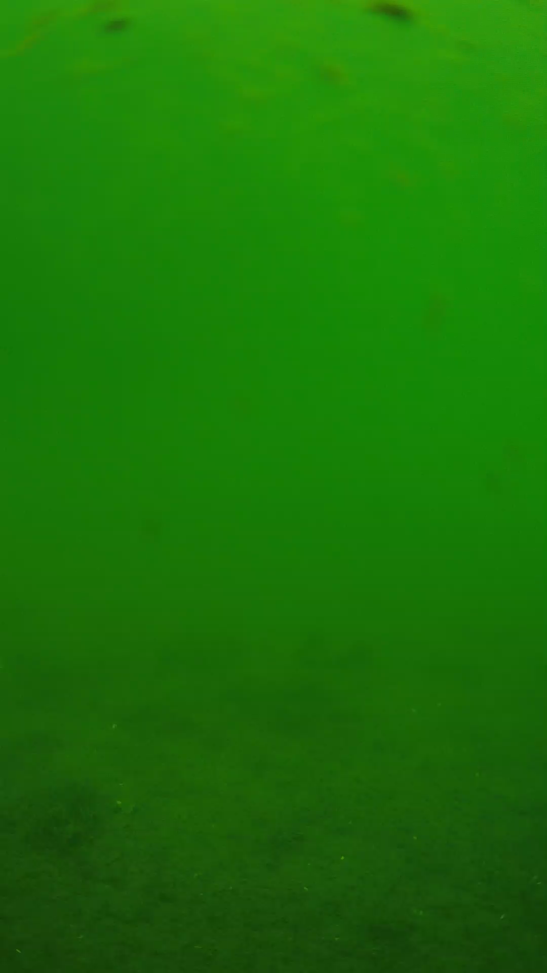 lander_ipcam_20240621110540.png