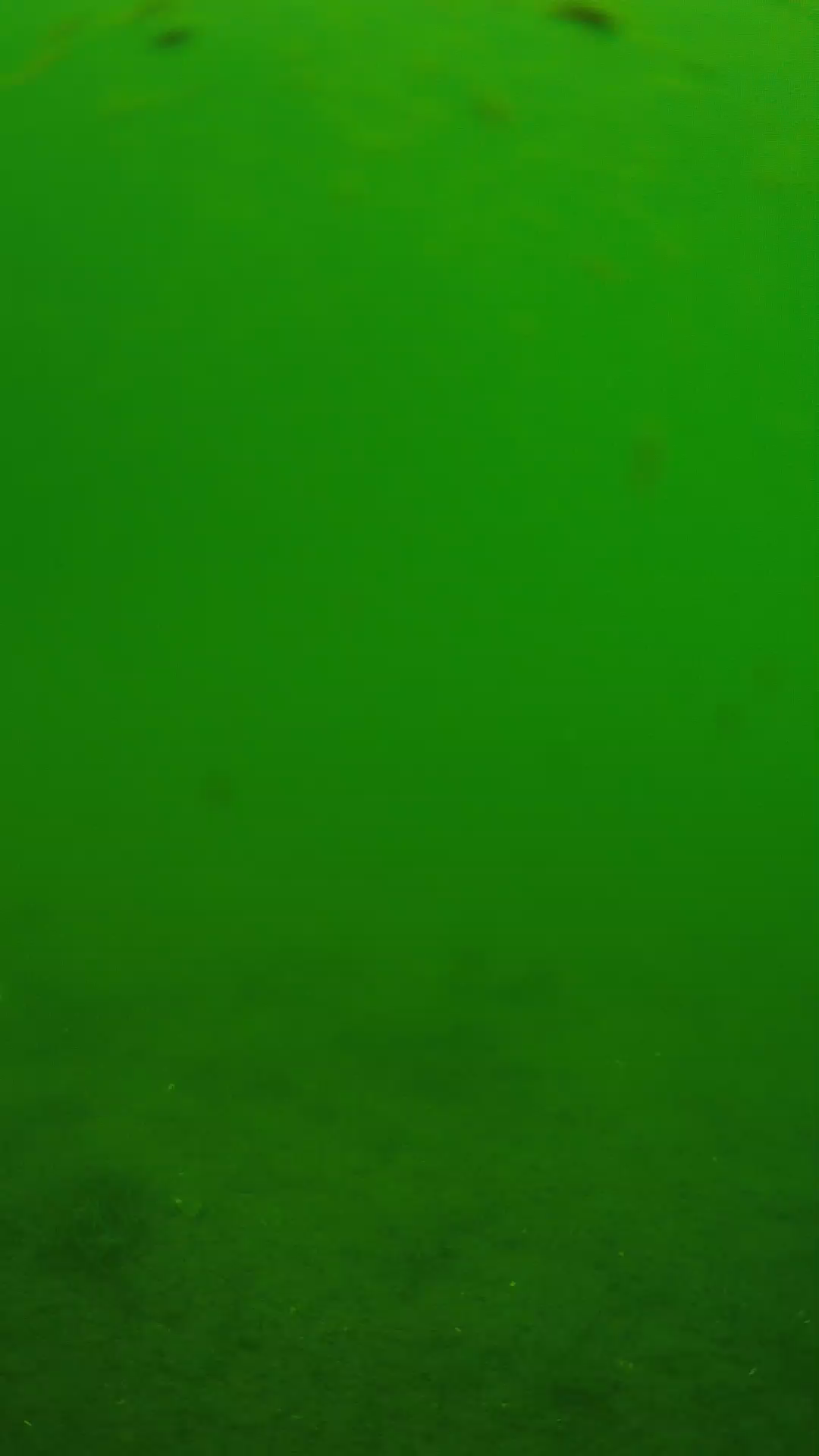 lander_ipcam_20240621110541.png