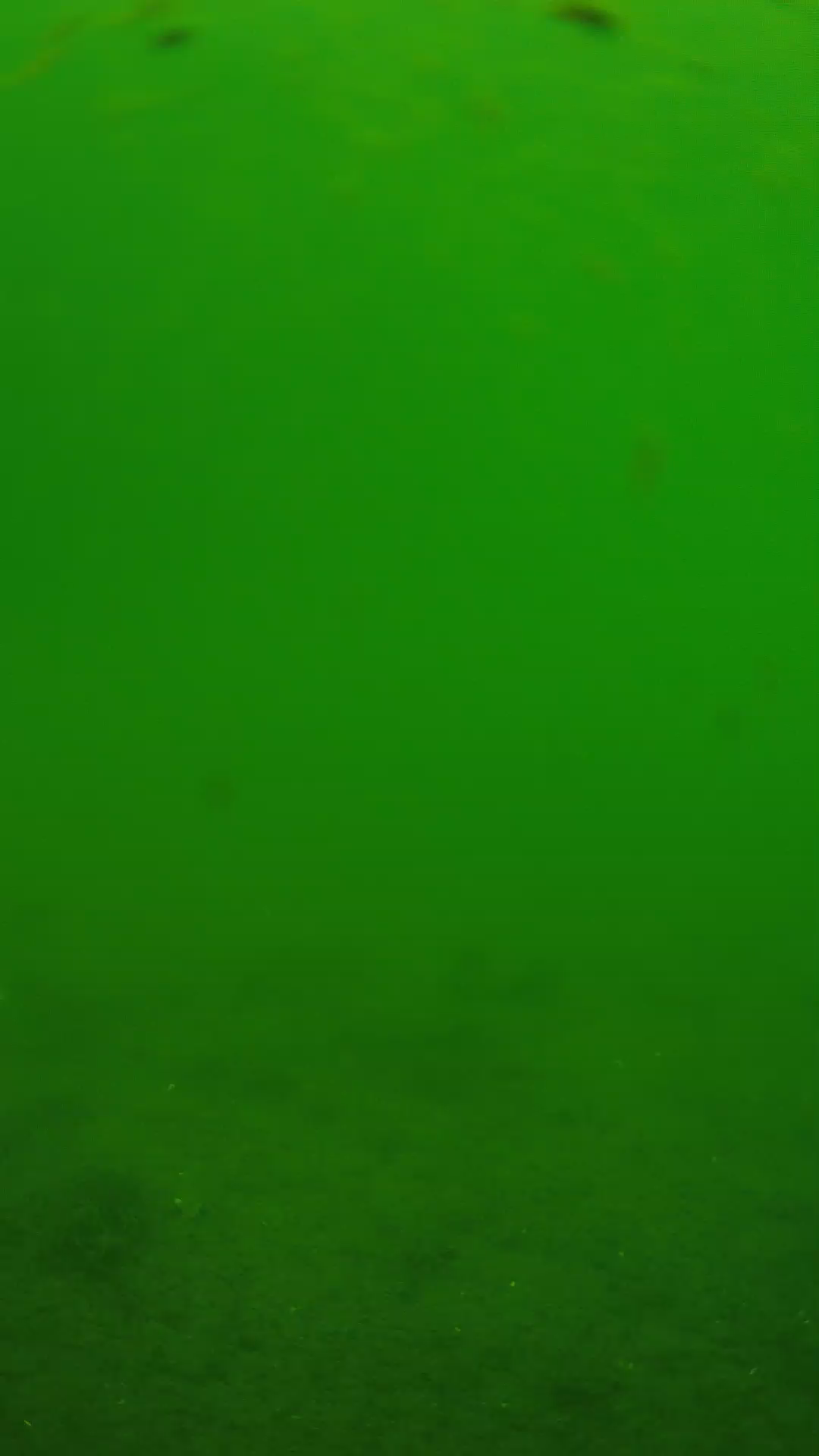 lander_ipcam_20240621110542.png