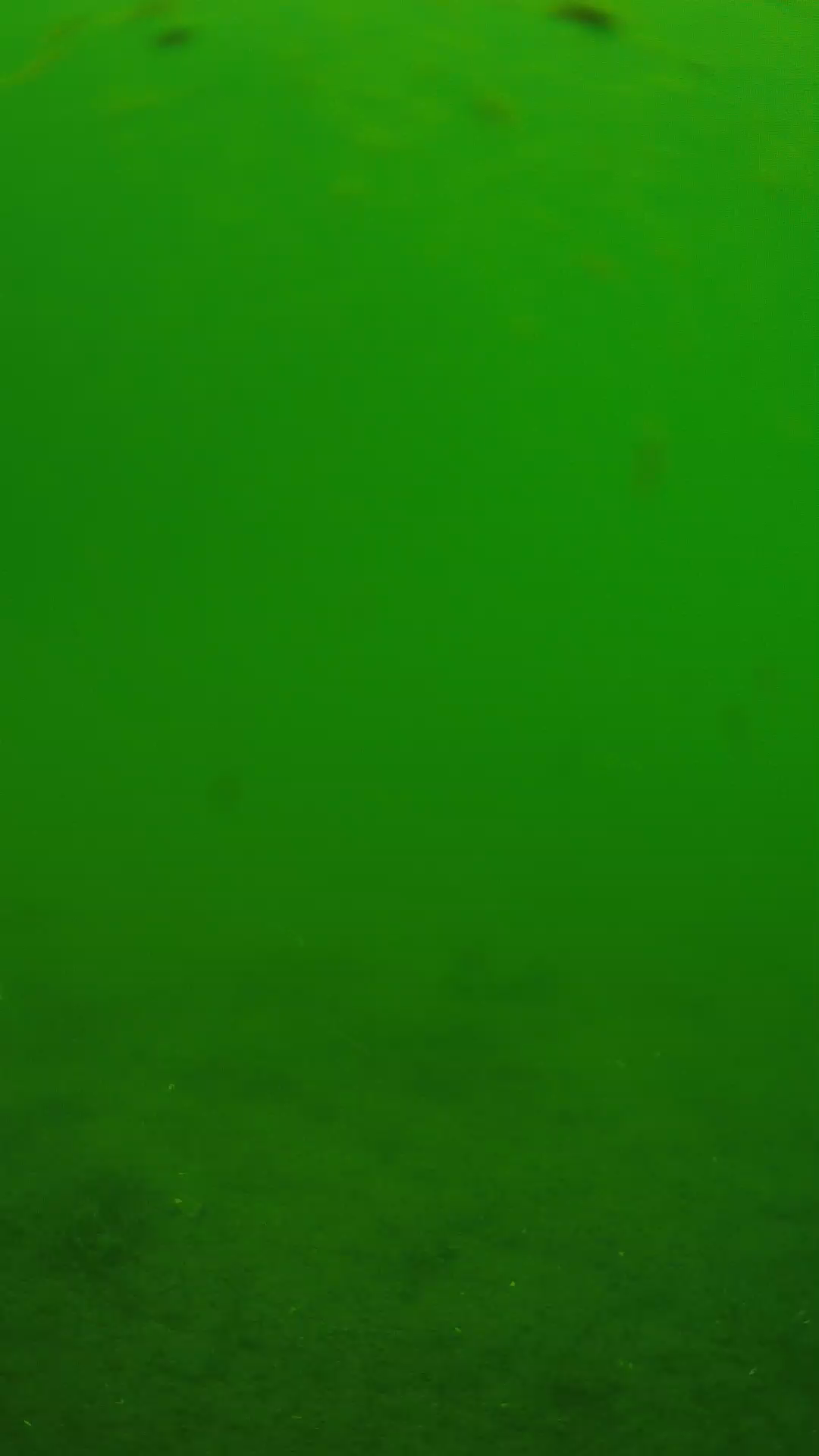lander_ipcam_20240621110543.png