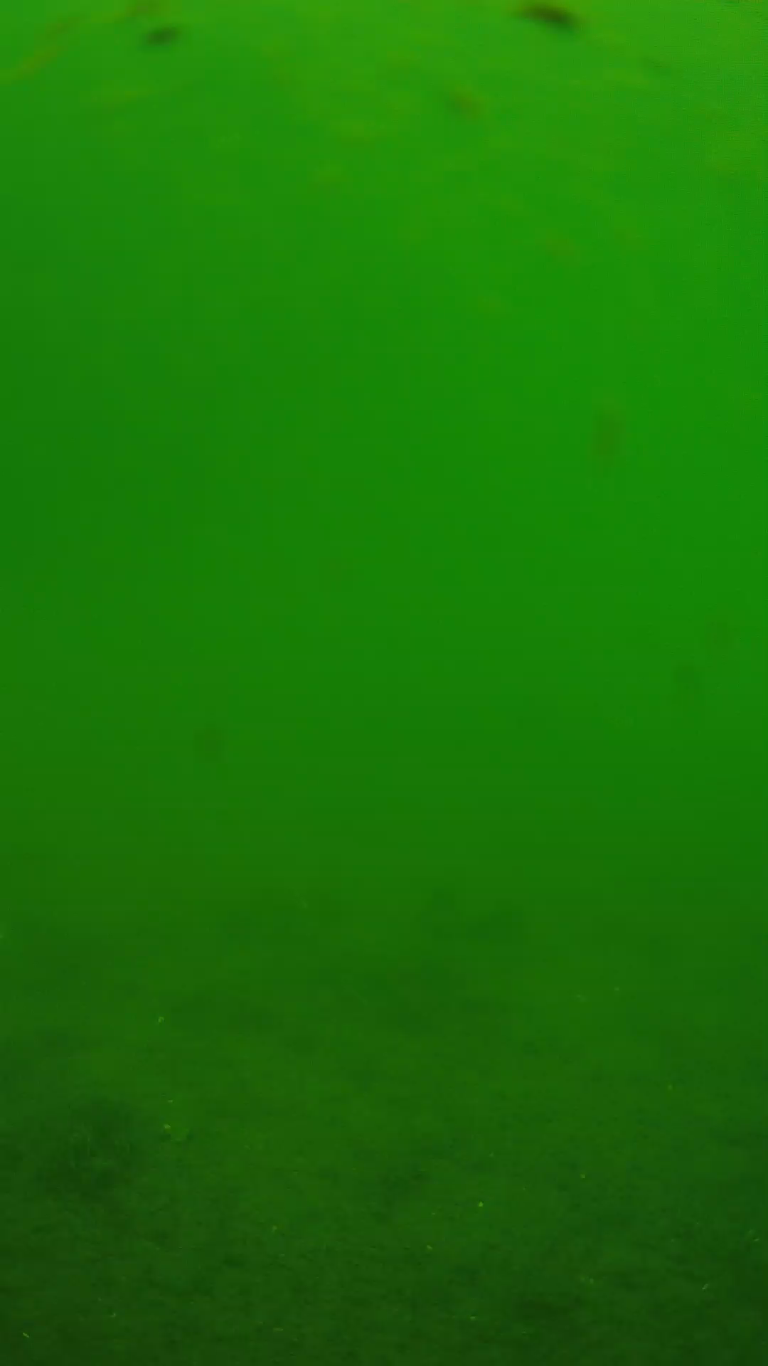lander_ipcam_20240621110544.png
