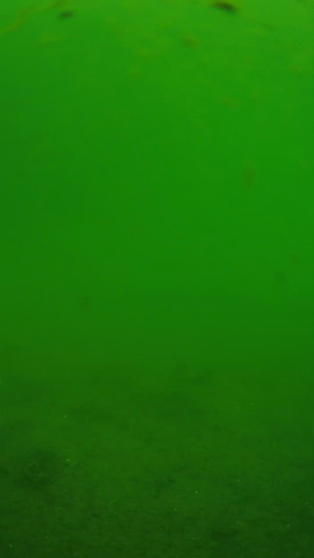 lander_ipcam_20240621110545.png