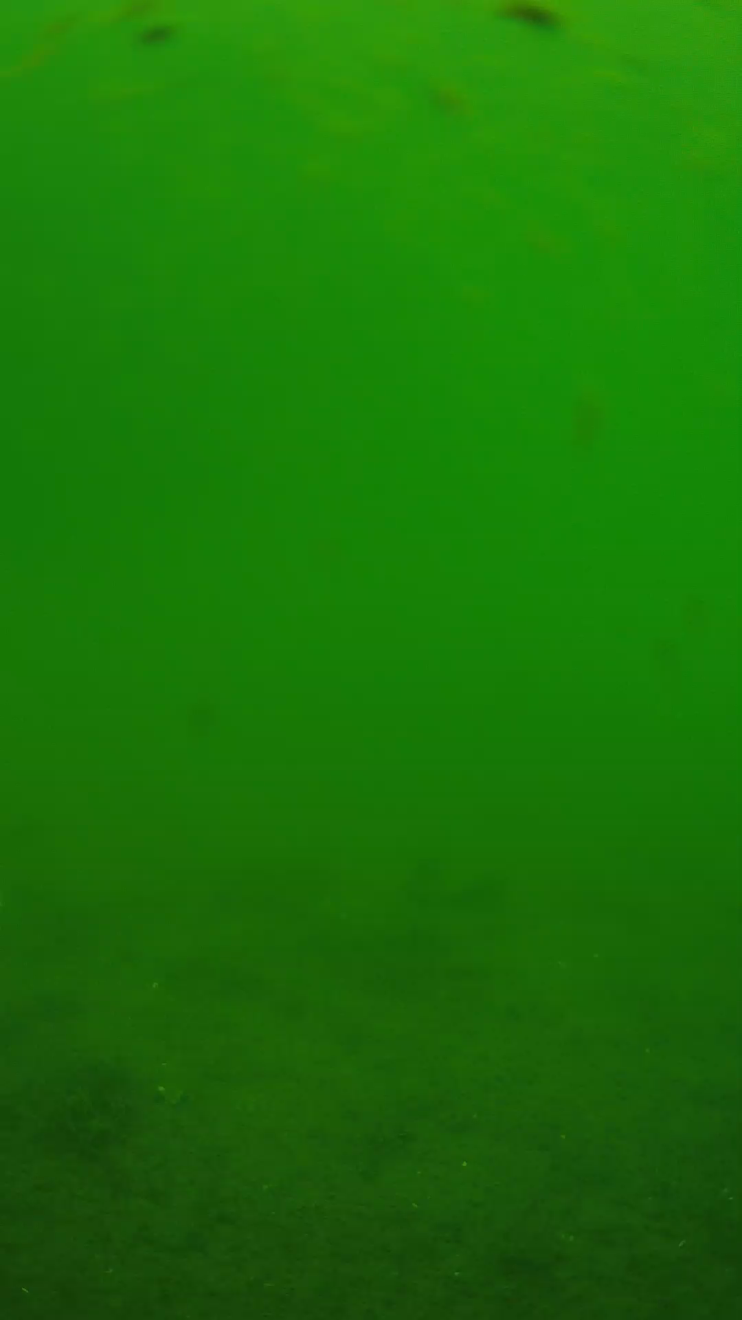 lander_ipcam_20240621110546.png