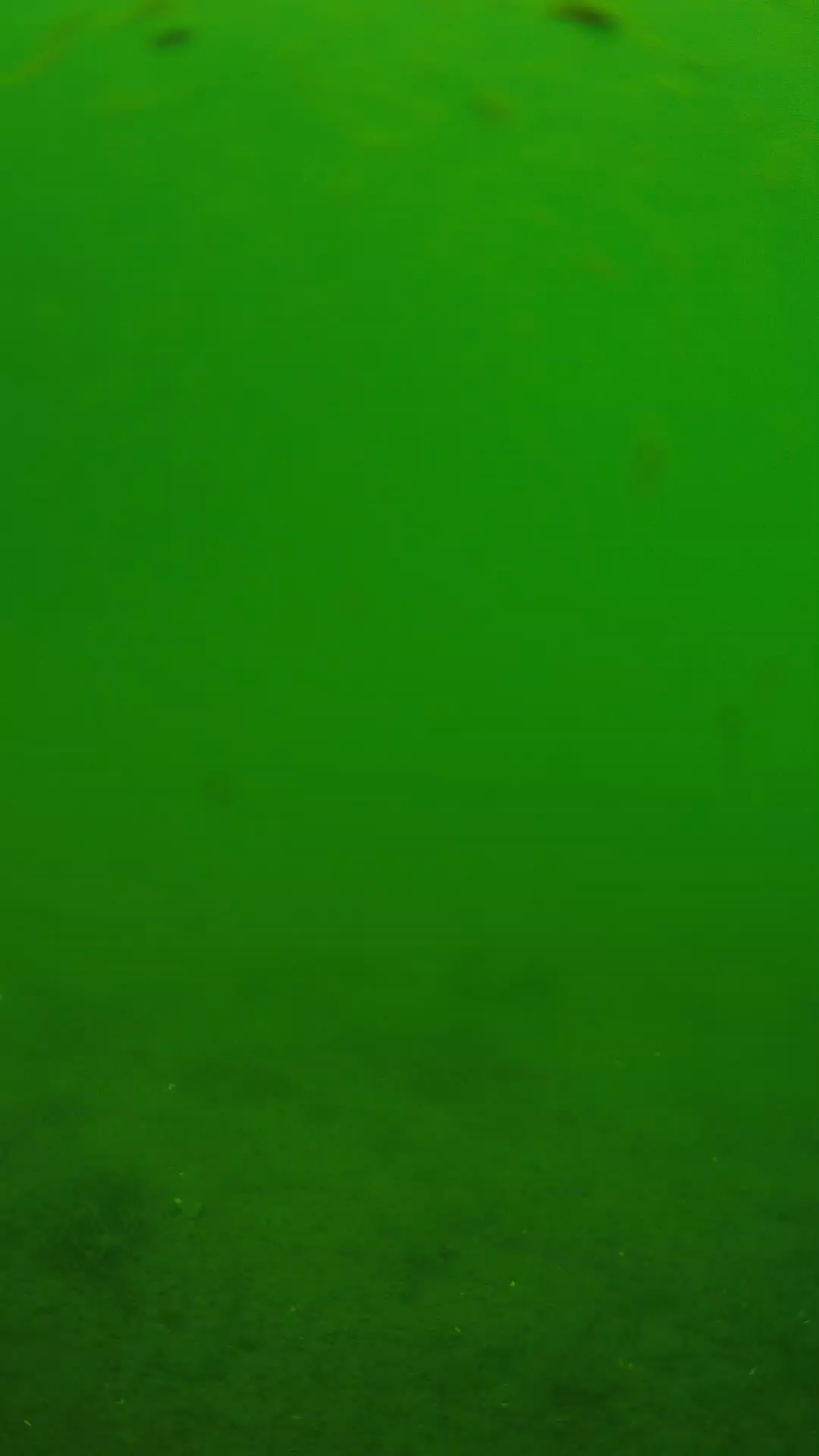 lander_ipcam_20240621110547.png