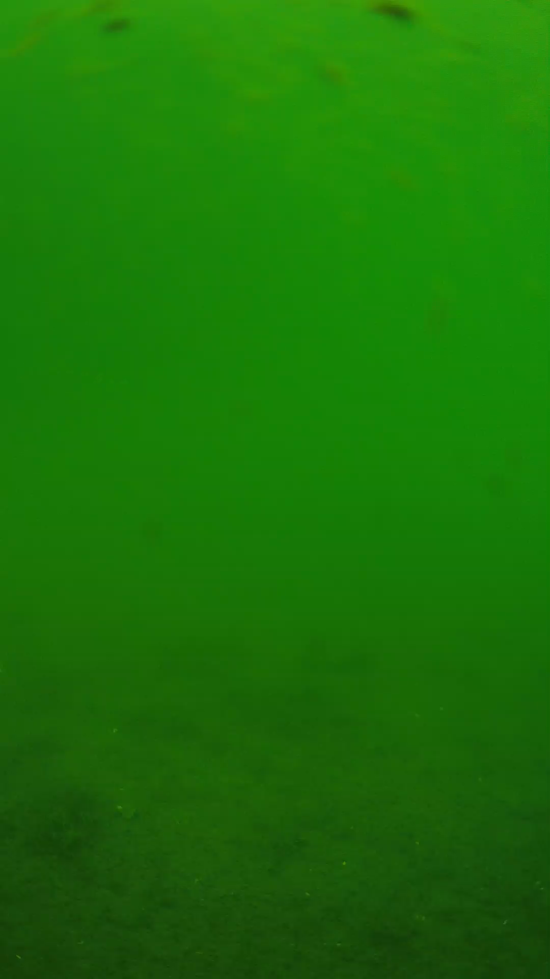 lander_ipcam_20240621110549.png