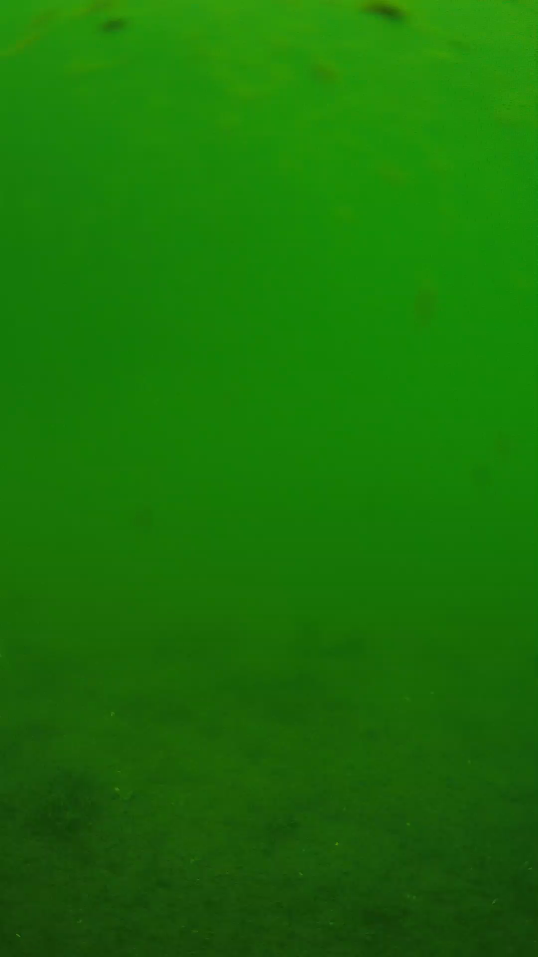 lander_ipcam_20240621110550.png