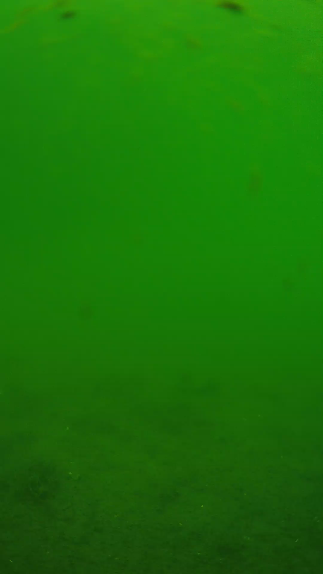 lander_ipcam_20240621110551.png