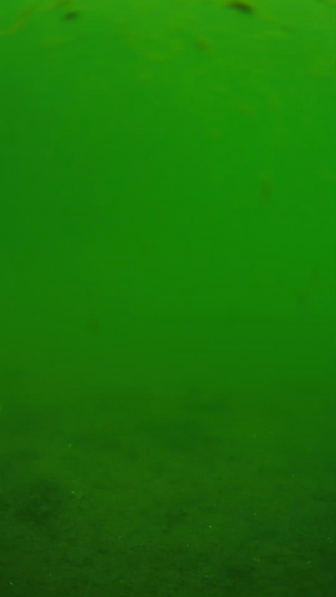 lander_ipcam_20240621110552.png