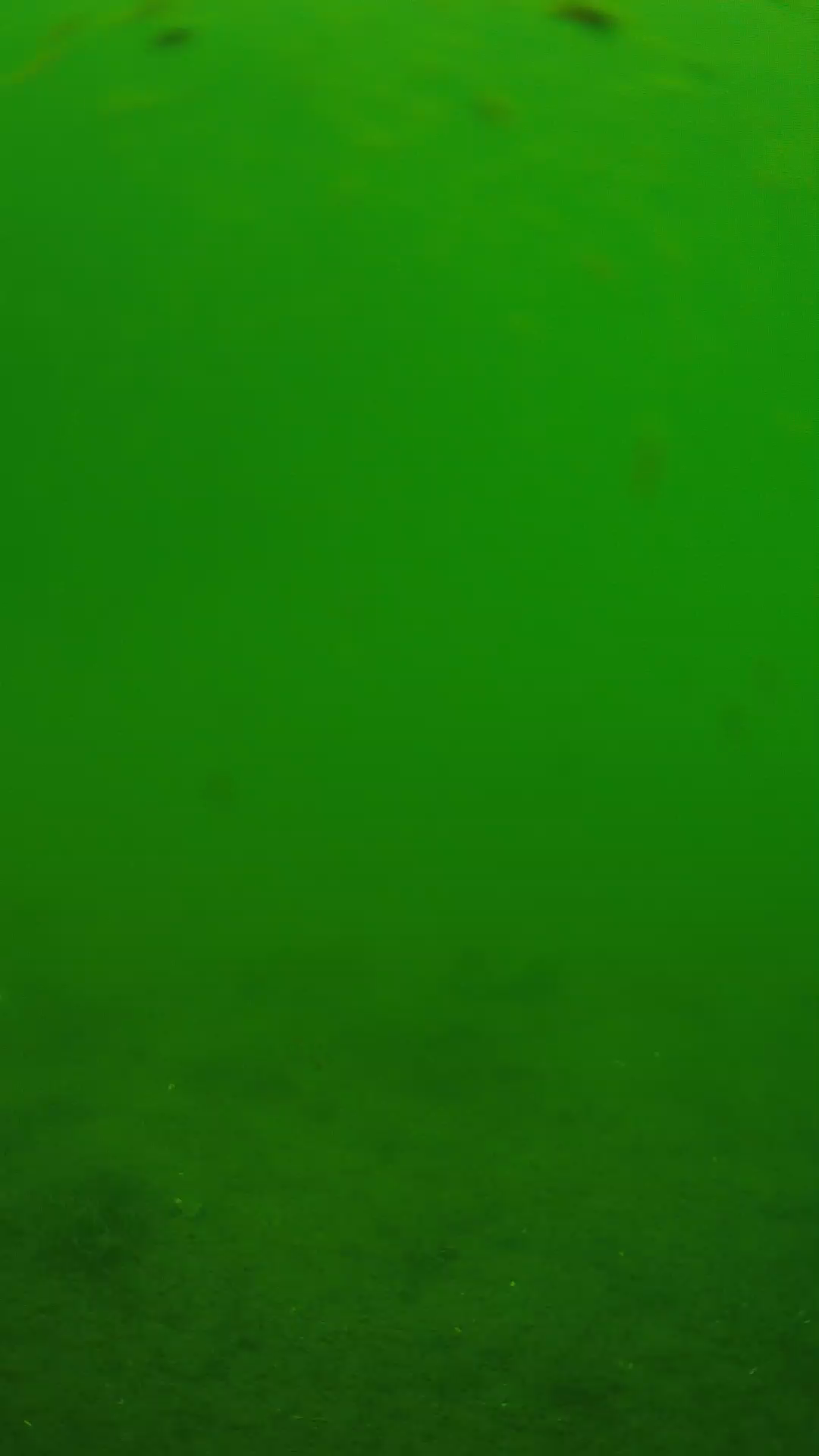 lander_ipcam_20240621110553.png