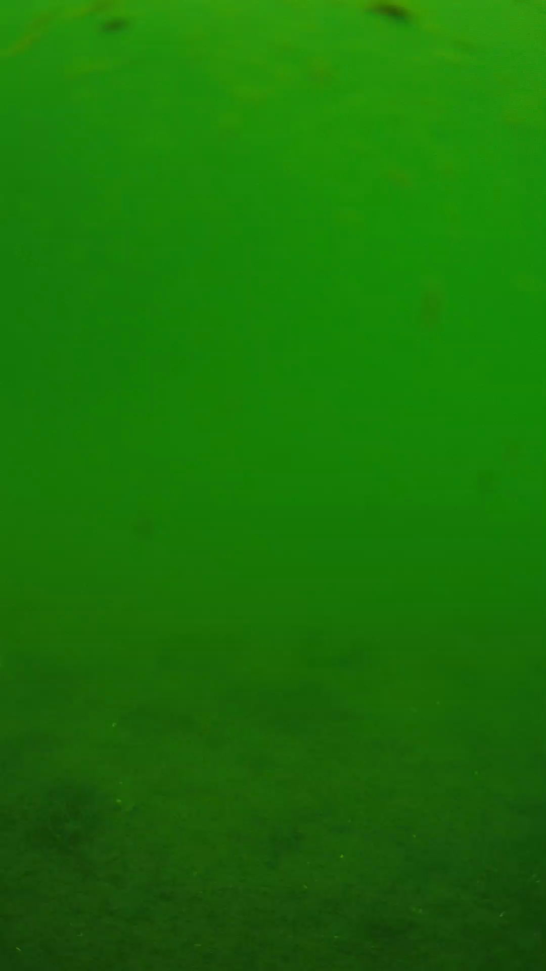 lander_ipcam_20240621110554.png