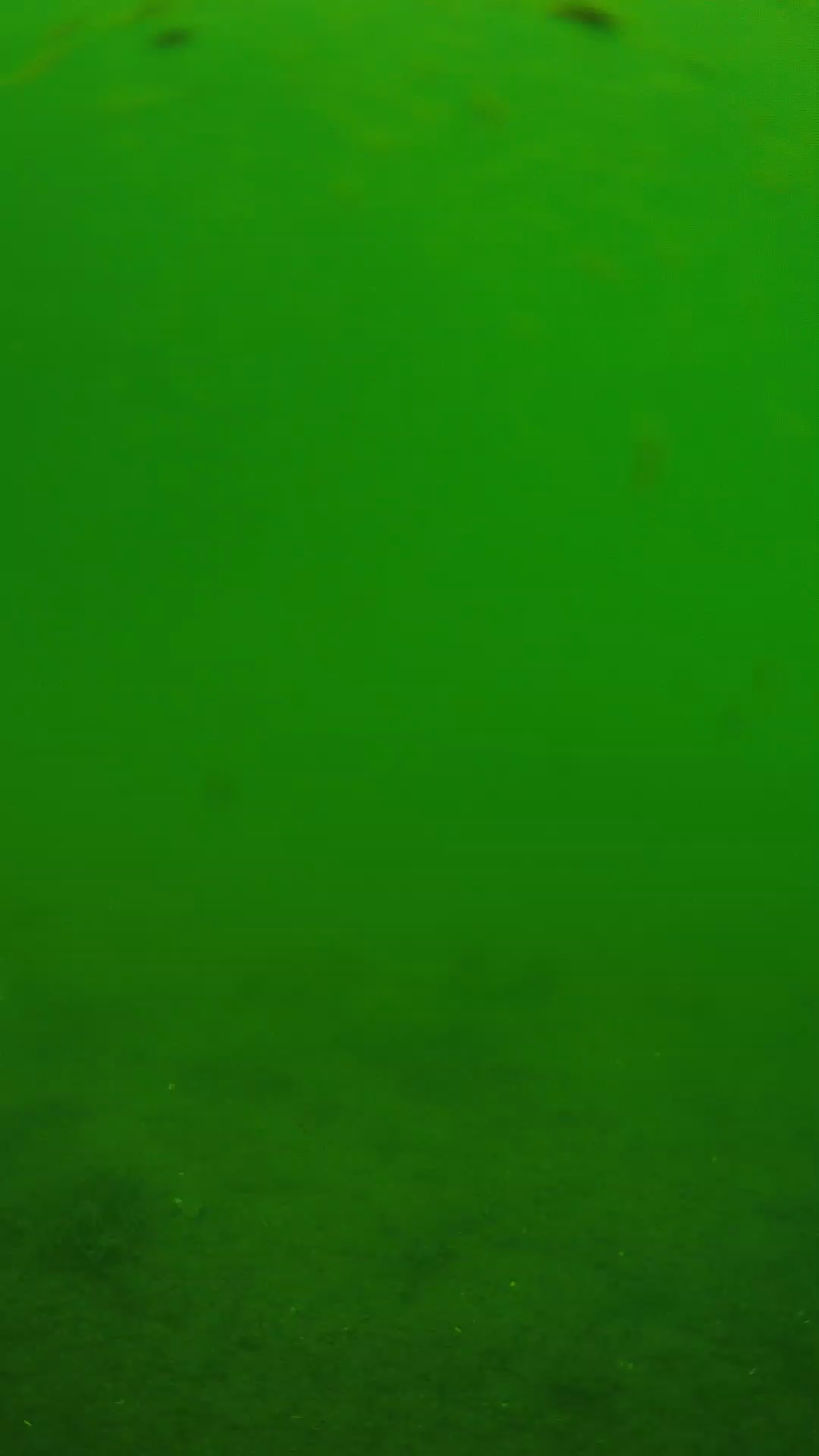 lander_ipcam_20240621110555.png