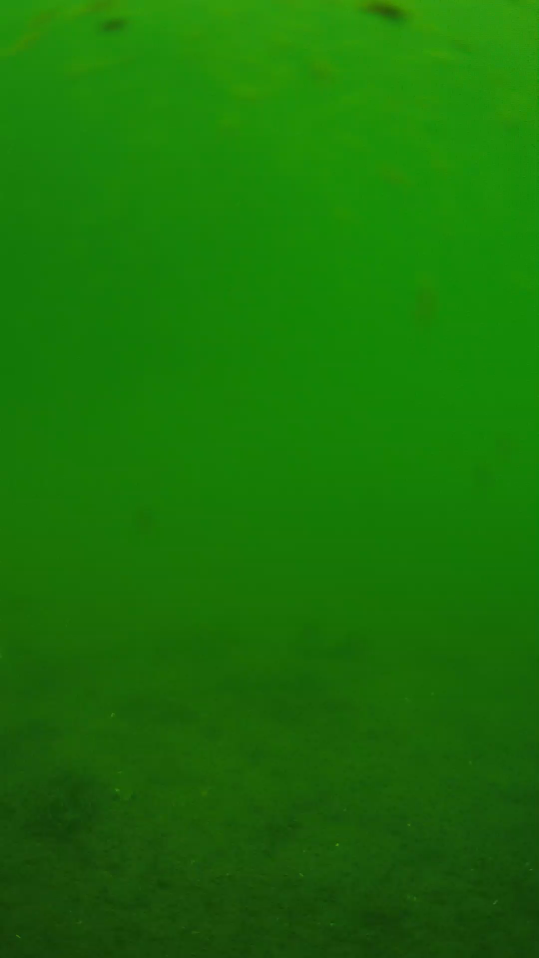 lander_ipcam_20240621110557.png