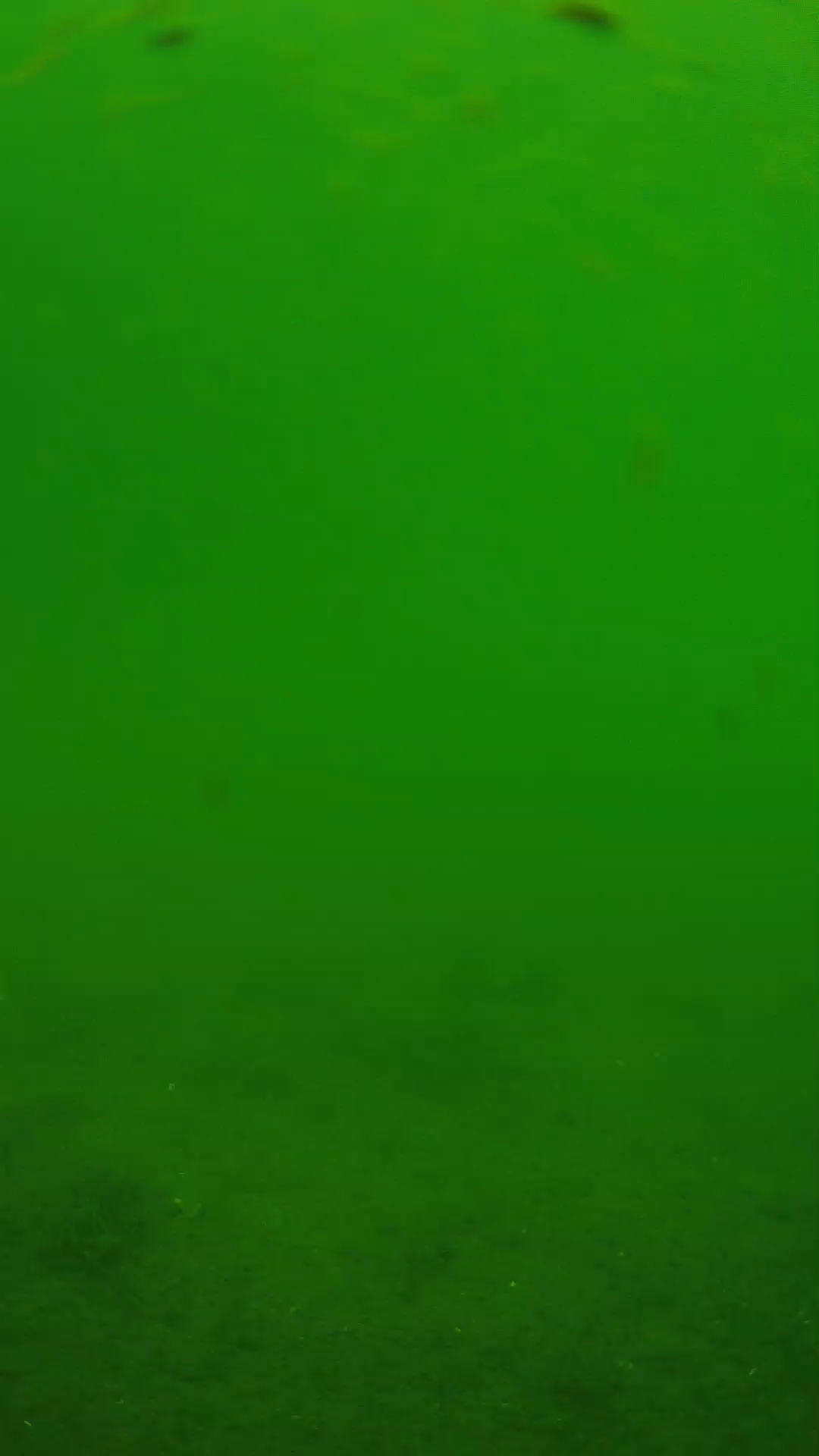 lander_ipcam_20240621110600.png