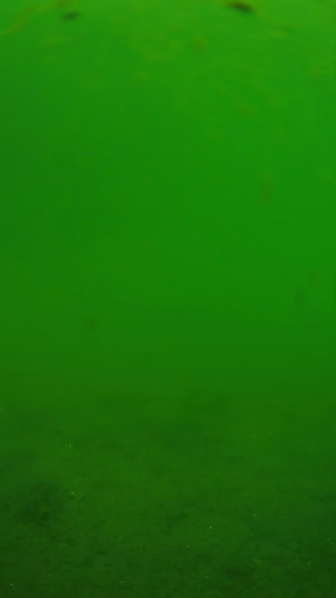 lander_ipcam_20240621110601.png