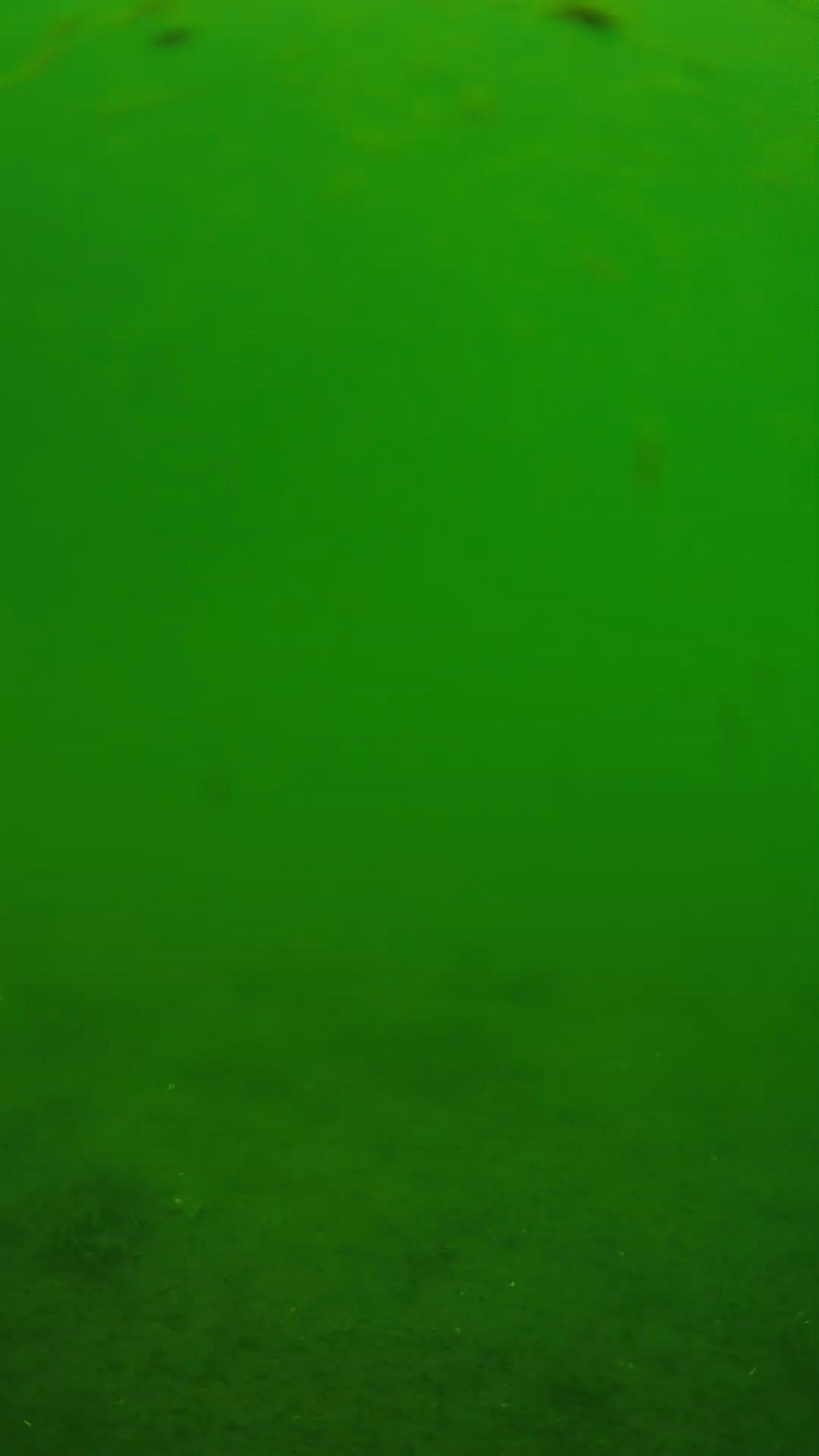 lander_ipcam_20240621110602.png