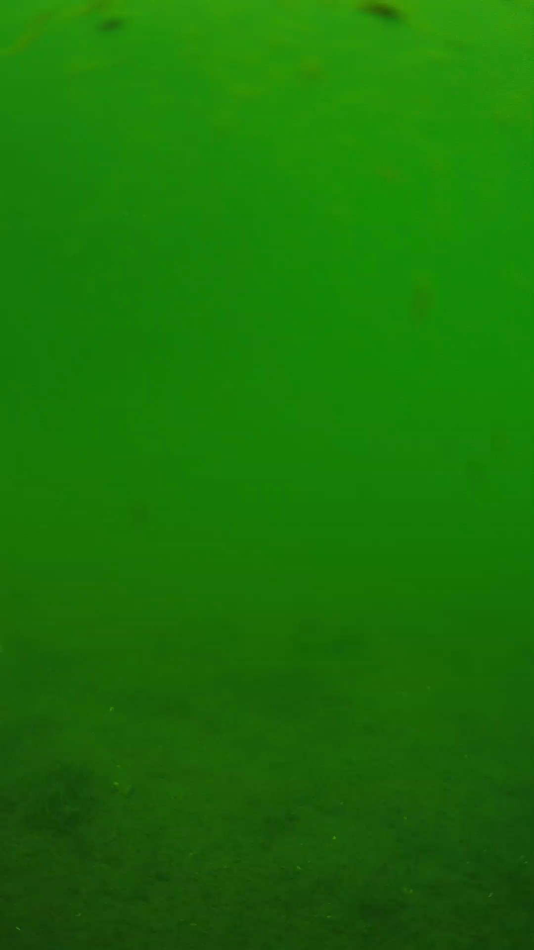 lander_ipcam_20240621110603.png