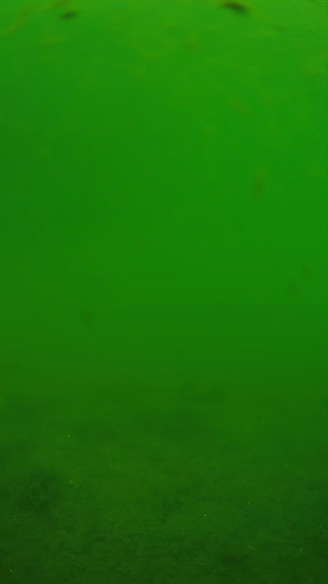 lander_ipcam_20240621110604.png