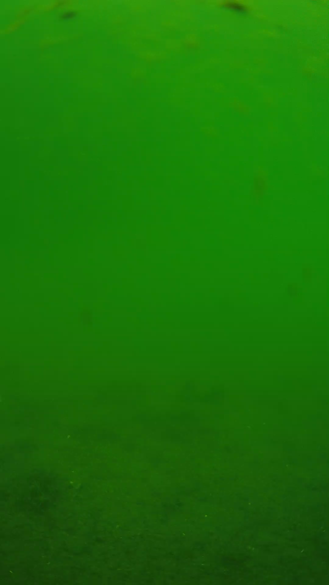 lander_ipcam_20240621110606.png