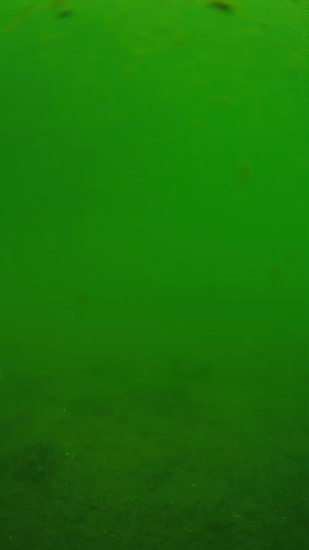 lander_ipcam_20240621110607.png