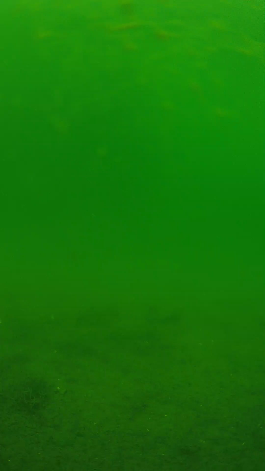 lander_ipcam_20240621113540.png