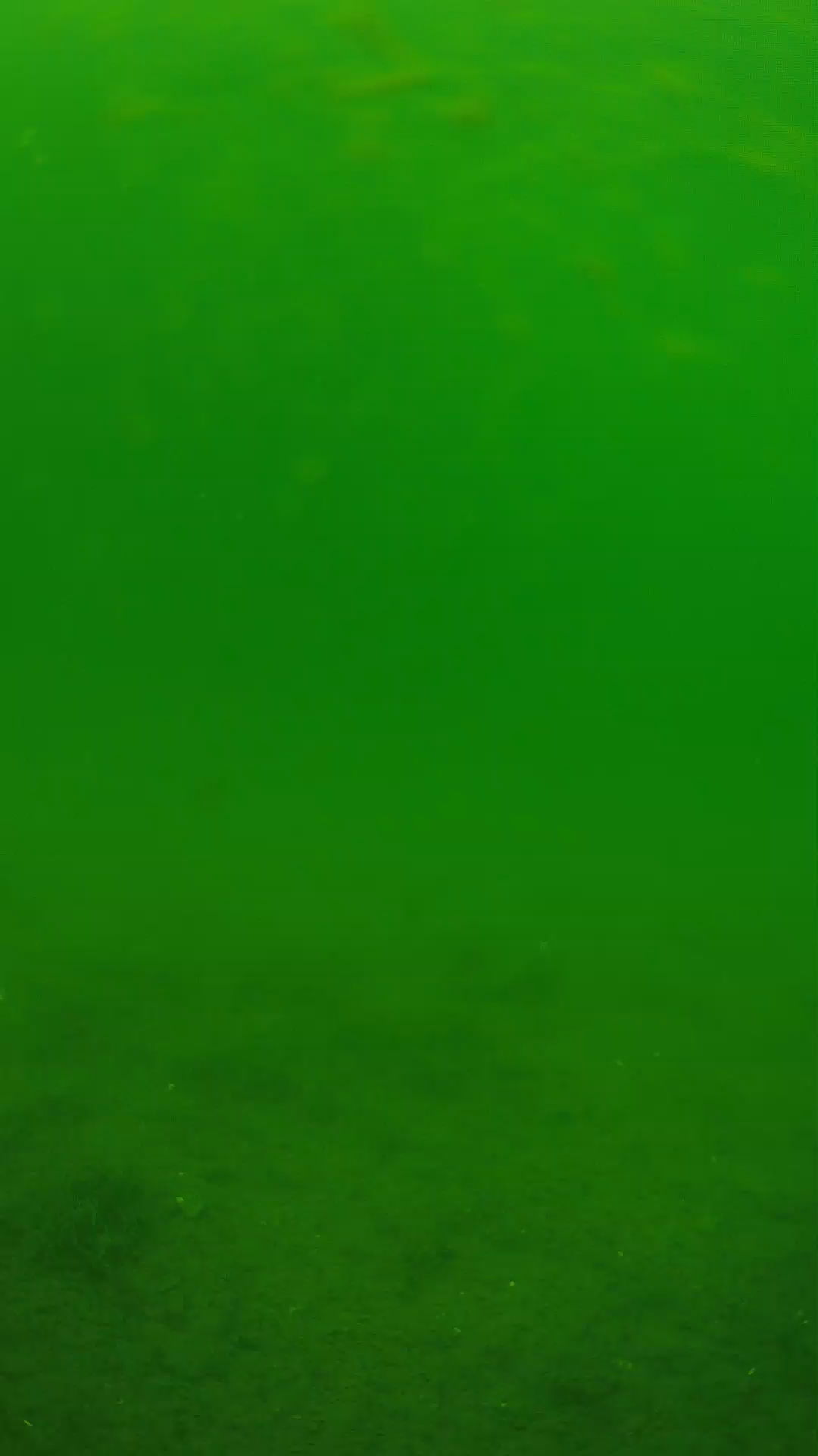 lander_ipcam_20240621113549.png
