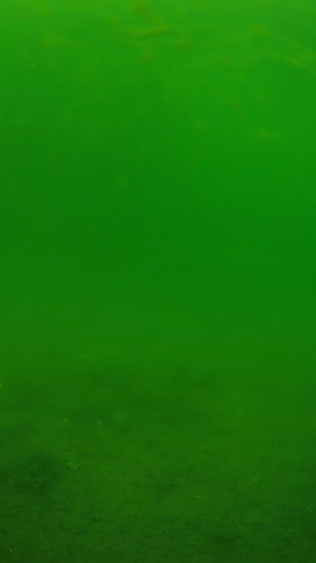 lander_ipcam_20240621113551.png