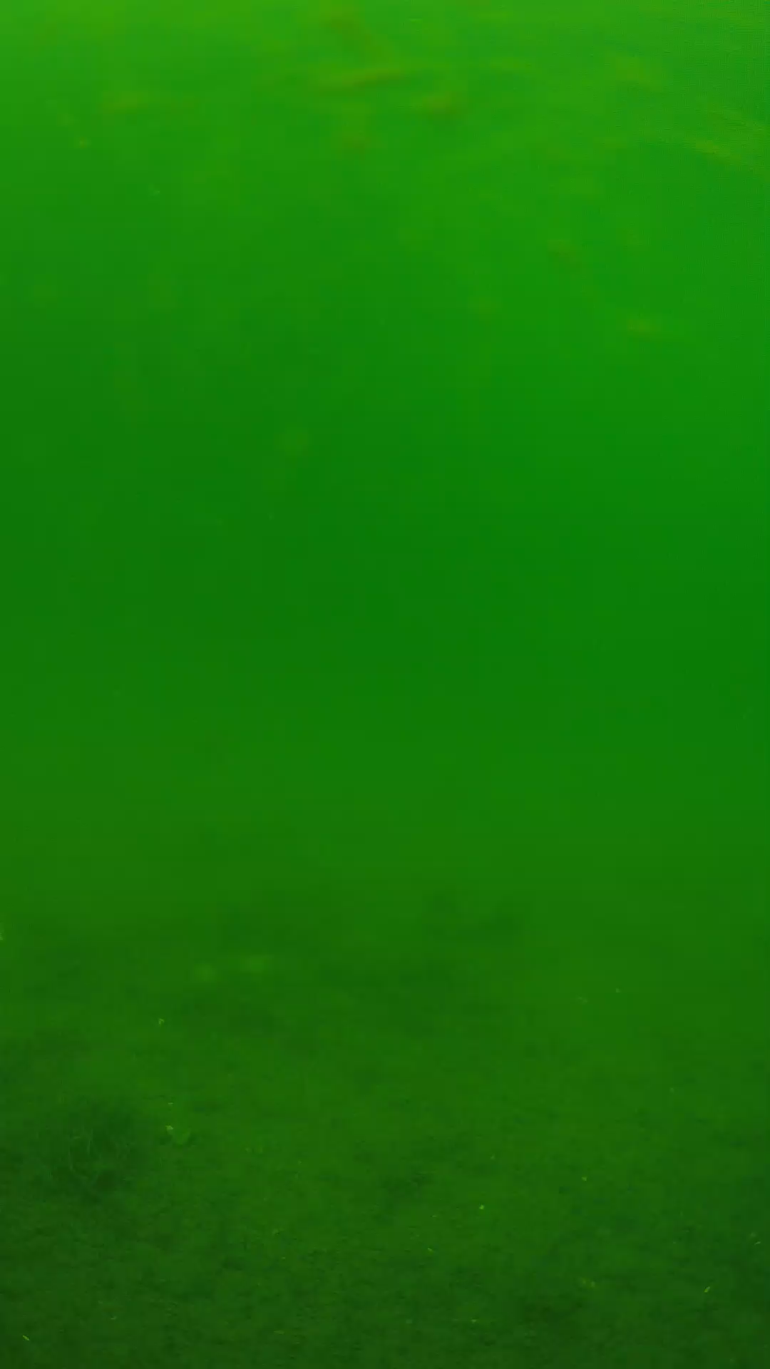 lander_ipcam_20240621113552.png