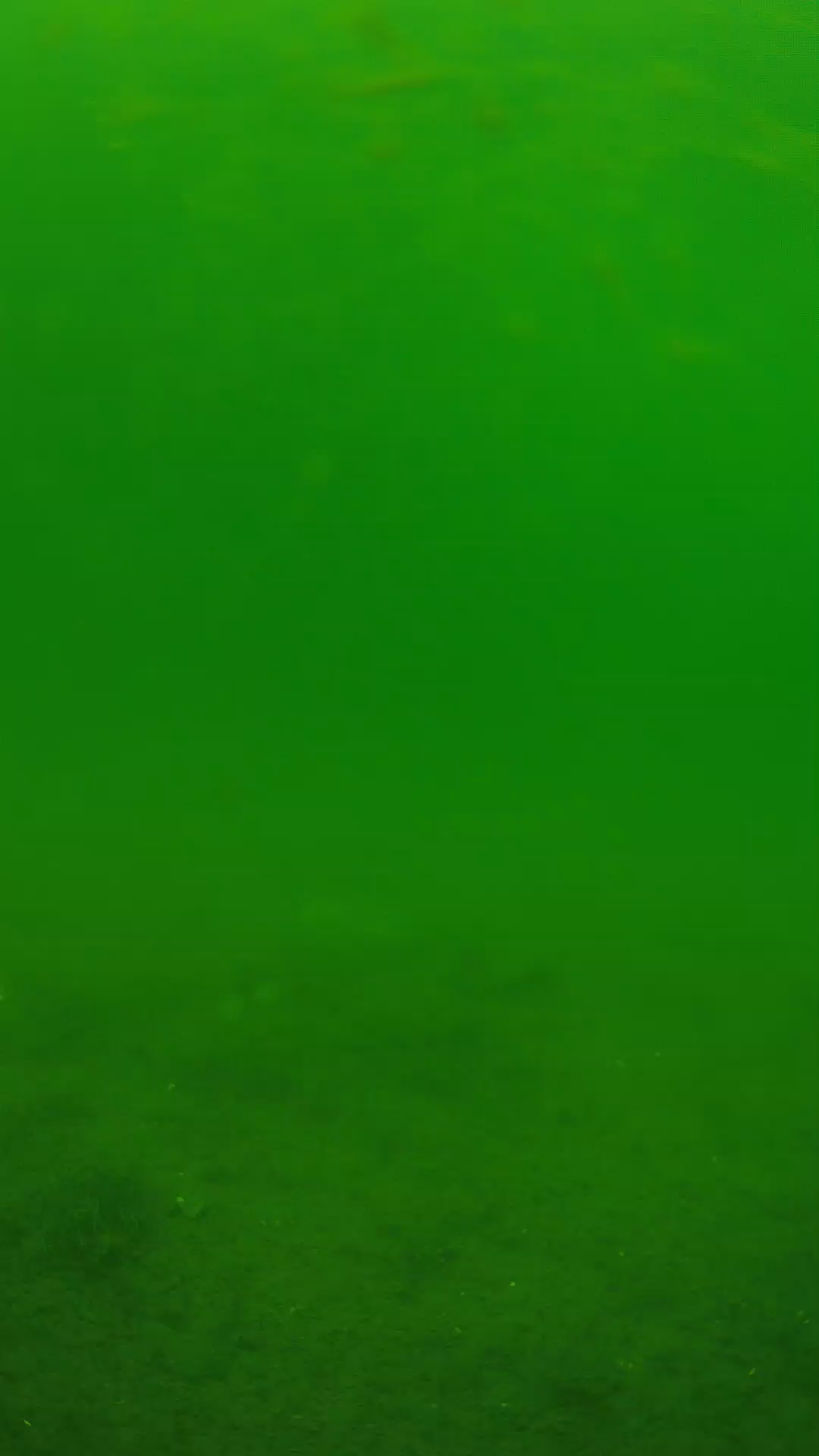 lander_ipcam_20240621113553.png