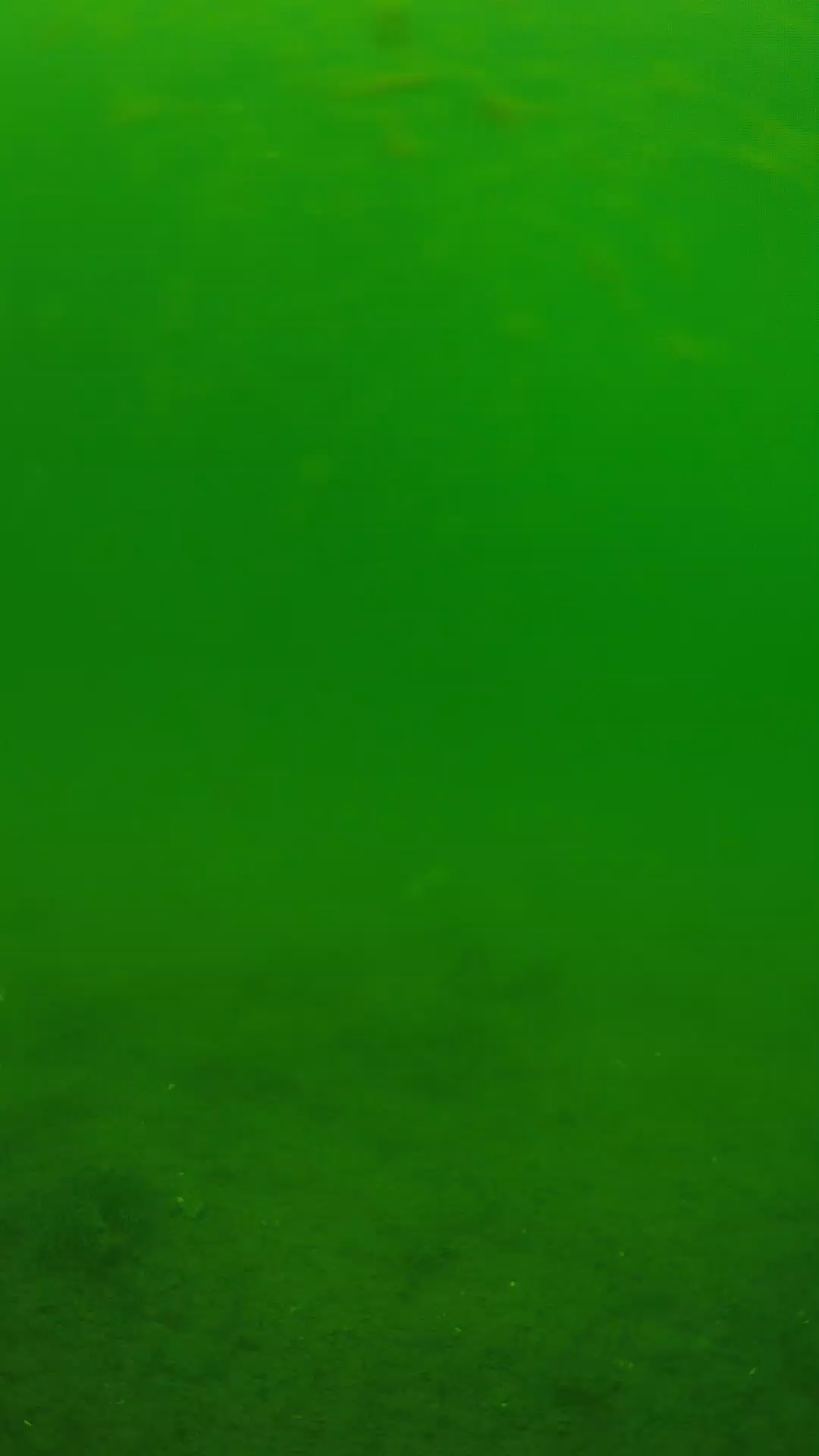 lander_ipcam_20240621113554.png