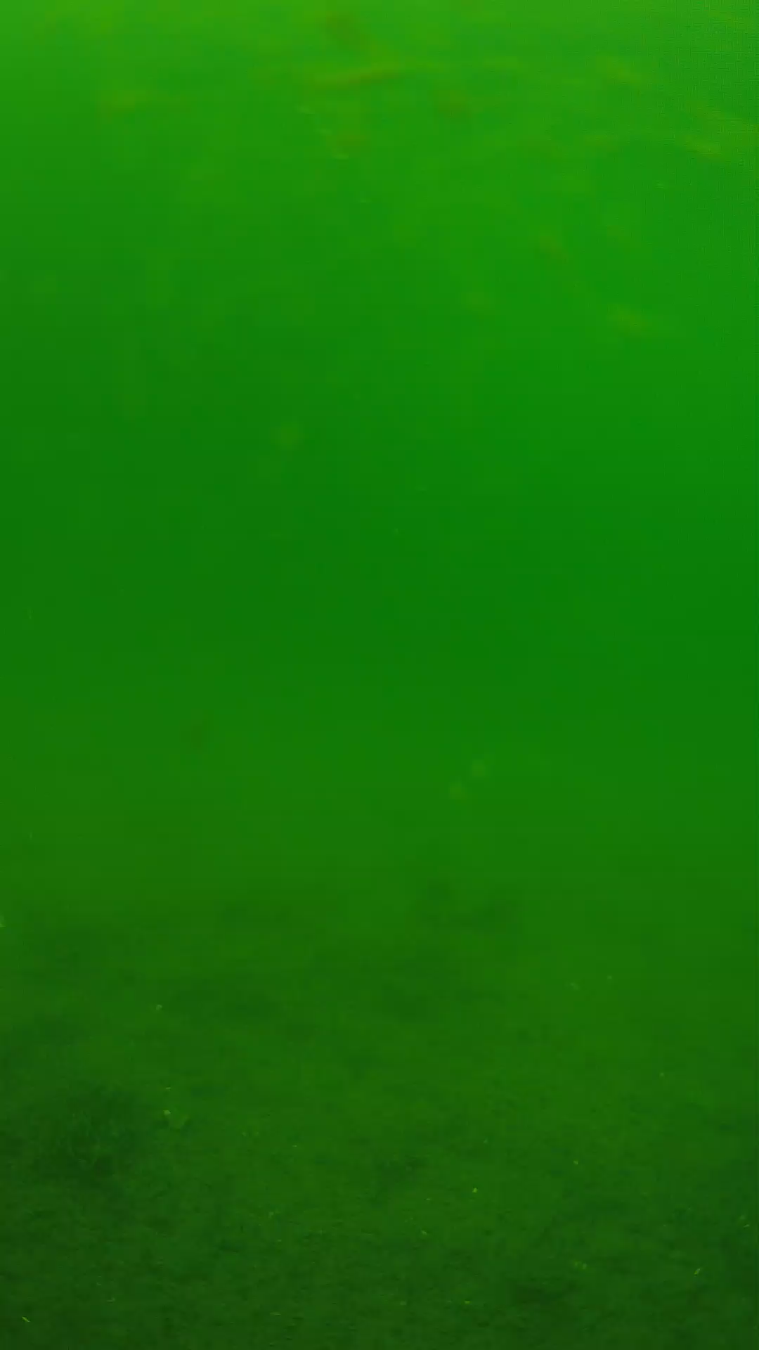 lander_ipcam_20240621113555.png